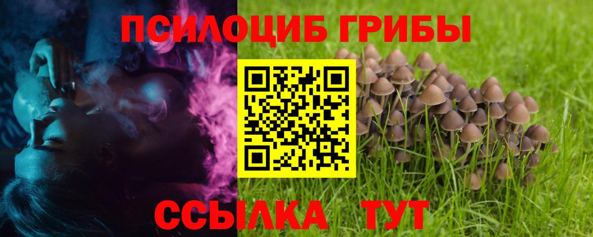 Галлюциногенные грибы ЛСД Воркута
